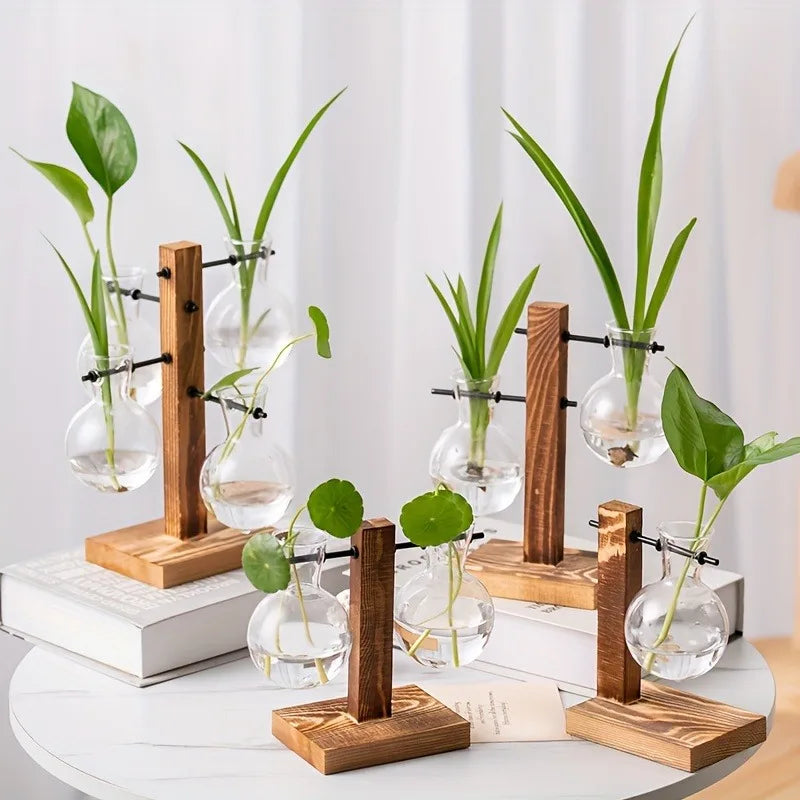 Hydroponic Glass Vase, Vintage Desktop Plant Terrarium Planter Bulb Water Planting Propagation Vase Planters Hydroponics Plants